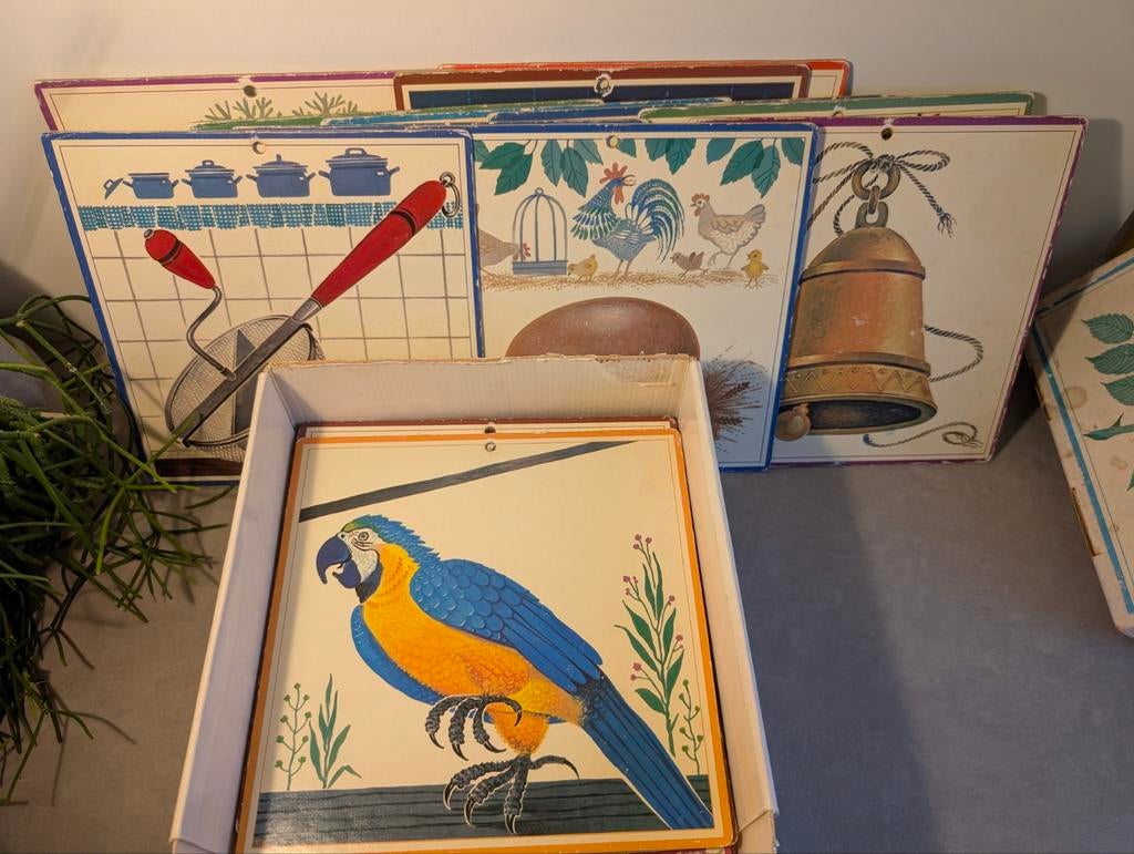 Schoolplaten Veilig leren lezen van Toos Koedam 1979, 36st., Ophalen of Verzenden, Gebruikt