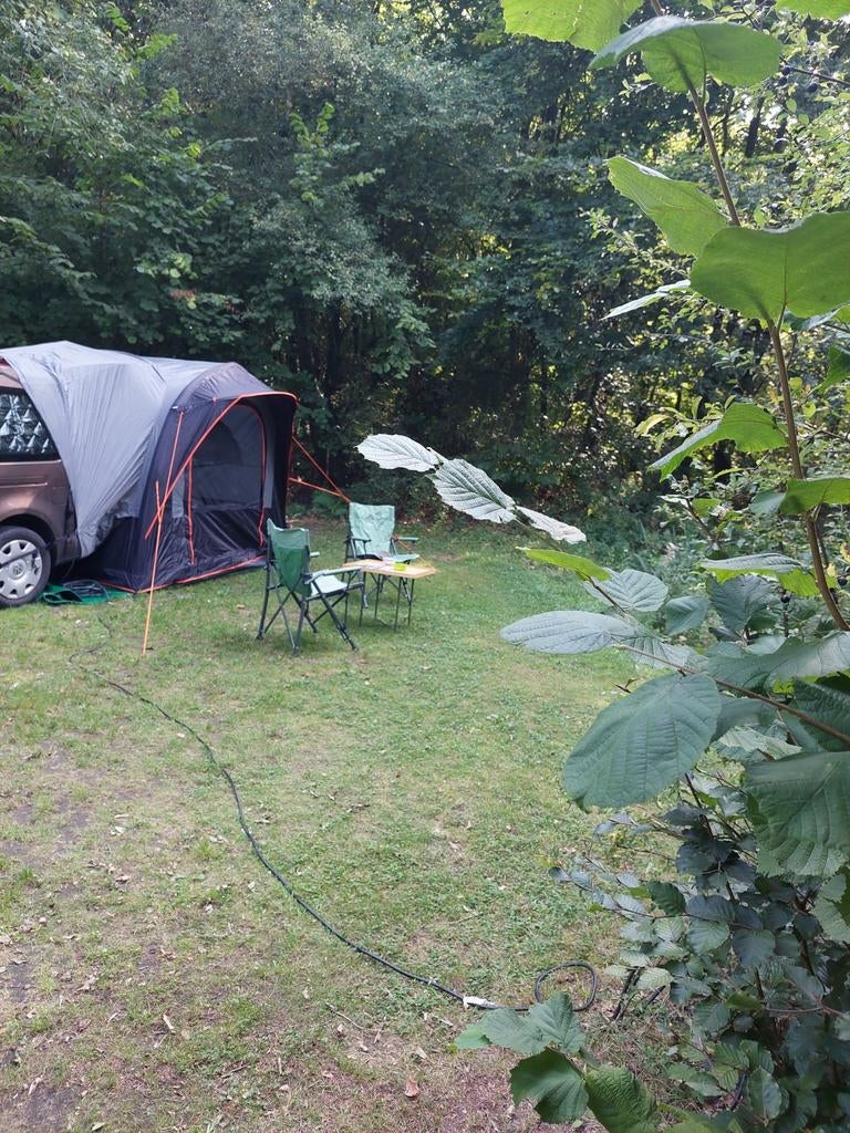 Kleptent, Ophalen of Verzenden