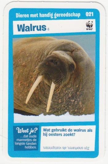 Super dieren no.21 Walrus [2687]  [VeOvSu], Albert Heijn, Ophalen of Verzenden