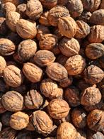Walnoten gedroogd, Ophalen