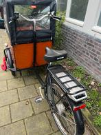 Babboe Electric Bakfiets (ideal for dogs), Gebruikt, Goederen, Elektrisch, Ophalen