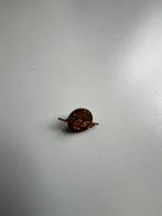 Button-Pin, Ophalen of Verzenden, Overige onderwerpen