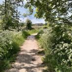 Wandelmaatje, Contacten en Berichten, Sport en Hobby oproepen