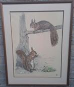 Bernard Sluyterman (1900‐1999).Litho. Eekhoorns.  56/71 cm., Antiek en Kunst, Kunst | Litho's en Zeefdrukken, Ophalen