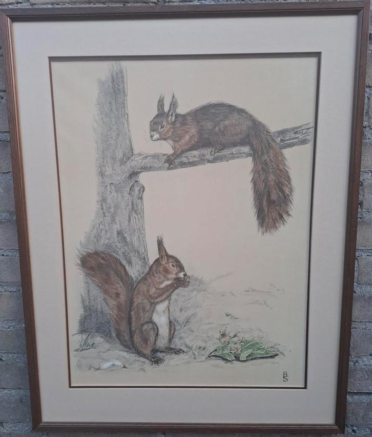 Bernard Sluyterman (1900‐1999).Litho. Eekhoorns.  56/71 cm., Antiek en Kunst, Kunst | Litho's en Zeefdrukken, Ophalen