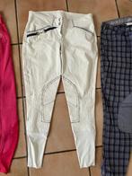 Witte rijbroek KOALA SPORT, maat 38, kijk eens hoe mooi!, Dressuur, Ophalen of Verzenden, Zo goed als nieuw, Dames