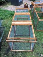 Looprennen voor hoenders, Dieren en Toebehoren, Pluimvee, Meerdere dieren, Kip