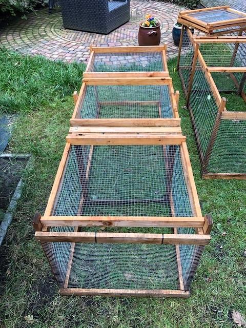 Looprennen voor hoenders, Dieren en Toebehoren, Pluimvee, Kip, Meerdere dieren