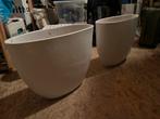 Grote vazen/potten (50x40x20cm), Tuin en Terras, Bloempotten, Overige materialen, Gebruikt, 40 cm of meer, Binnen