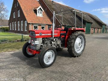 Massey Ferguson 133 super beschikbaar voor biedingen