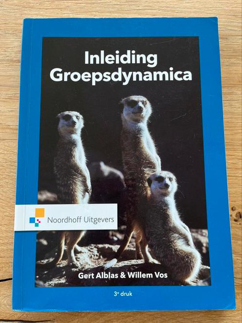 Willem Vos - Inleiding groepsdynamica, Boeken, Psychologie, Zo goed als nieuw, Ophalen of Verzenden