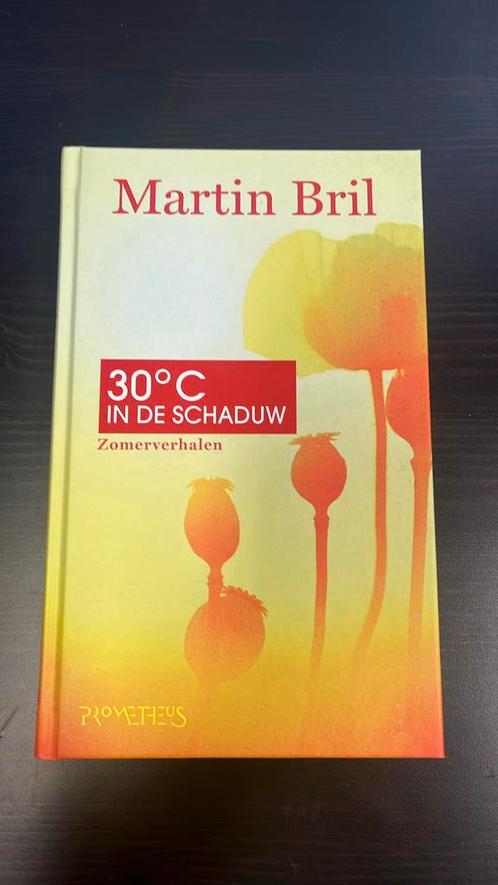 Martin Bril - Dertig graden in de schaduw, Boeken, Literatuur, Zo goed als nieuw, Nederland, Ophalen of Verzenden