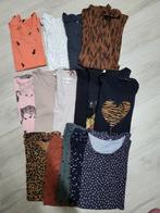 Groot pakket zwangerschapskleding (35 items), Kleding | Dames, Ophalen of Verzenden, Zo goed als nieuw