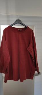 Nette trui 3xl valt als 54. Roestbruin/oranje., Ophalen of Verzenden, Gedragen