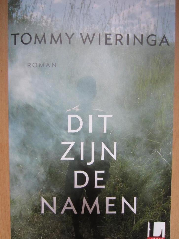 Dit zijn de namen - Tommy Wieringa, Boeken, Literatuur, Gelezen, Nederland, Ophalen of Verzenden