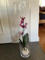Cilindervaas  met kunst orchidee, Huis en Inrichting, Ophalen, Zo goed als nieuw, Binnen