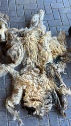 Pure wol , 3 vachten schaap, Ophalen of Verzenden, Zo goed als nieuw, Spinwol