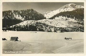 (381-412-009) Winkelmoos mit Durnbachhorn beschikbaar voor biedingen