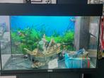 Juwel aquarium zwart 80x35x50, Ophalen, Gebruikt, Leeg aquarium