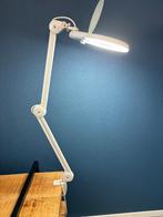 Loeplamp / werklamp met klem voor tafel of buro, Ophalen of Verzenden, Zo goed als nieuw, Loeplamp