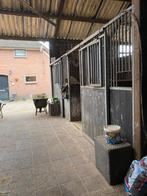 Paardenstal tehuur, Dieren en Toebehoren, Stalling, 1 paard of pony
