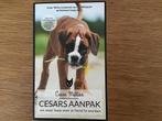 Cesar Millan - Cesars aanpak, Boeken, Dieren en Huisdieren, Cesar Millan; Melissa Jo Peltier, Honden, Ophalen of Verzenden, Zo goed als nieuw
