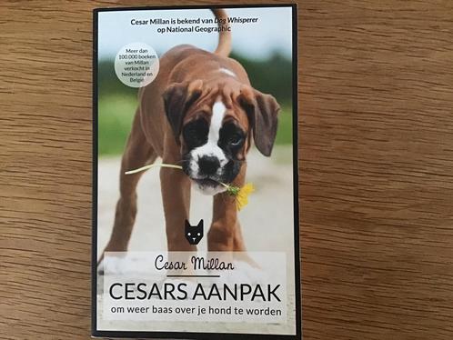 Cesar Millan - Cesars aanpak, Boeken, Dieren en Huisdieren, Zo goed als nieuw, Honden, Ophalen of Verzenden