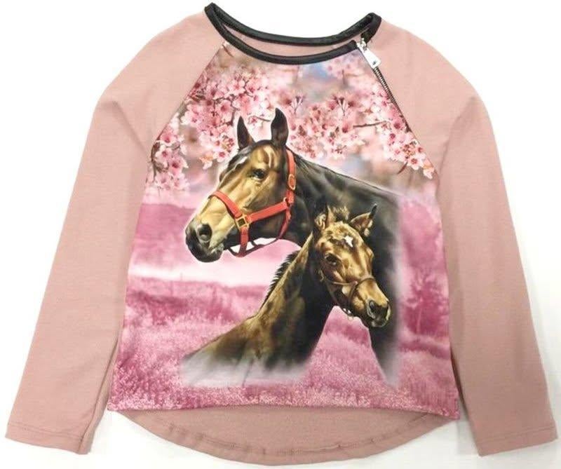 Leuke paarden trui 146, Kinderen en Baby's, Kinderkleding | Maat 146, Ophalen of Verzenden, Nieuw, Meisje, Trui of Vest