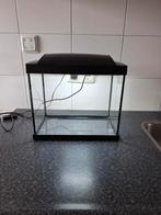 SuperFish Start 20 Zwart, Ophalen, Zo goed als nieuw, Leeg aquarium