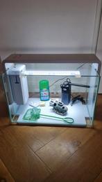 Aquarium SuperFish Home 60, Dieren en Toebehoren, Ophalen, Gebruikt, Leeg aquarium