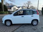 Fiat Panda 1.2 Edizione Cool A-C Elek Pakket Hoge instap Nw, Stof, Gebruikt, 4 stoelen, Wit