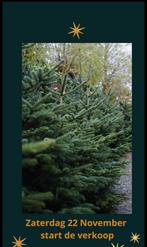 Nordmann Kerstbomen - Kerkdriel, Ophalen, Overige soorten, 100 tot 250 cm