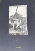 Pieter de Beard Photos Box 2 delen Steven M L Aronson, Boeken, Verzenden, Gelezen, Fotografen