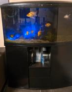 ferplast caypan panorama 110cm (gratis), Dieren en Toebehoren, Vissen | Aquaria en Toebehoren, Ophalen, Gebruikt, Leeg aquarium