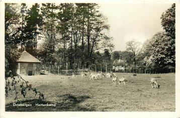 (388-395-027) Driebergen-Rijsenburg Hertenkamp beschikbaar voor biedingen