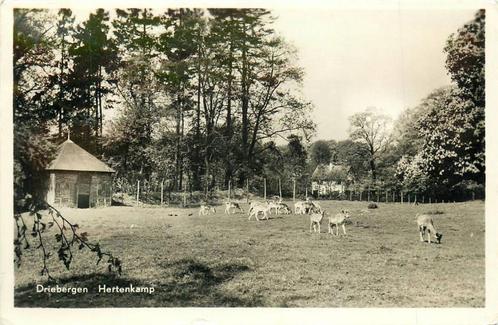 (388-395-027) Driebergen-Rijsenburg Hertenkamp, Verzamelen, Ansichtkaarten | Nederland, Utrecht, Verzenden
