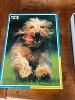 Honden puzzel kind 12 stukjes, Ophalen of Verzenden, 10 tot 50 stukjes, Zo goed als nieuw, 2 tot 4 jaar