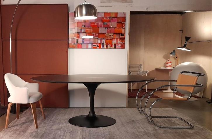 tafels  tulipe 90 x 180  tot 244 x 137 eero saarinen stoelen, Huis en Inrichting, Tafels | Eettafels, Nieuw, 200 cm of meer, 200 cm of meer
