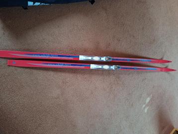 Langlauf ski 205 cm  beschikbaar voor biedingen