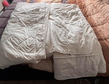 4 seizoenen texels schapenwol beschikbaar voor biedingen