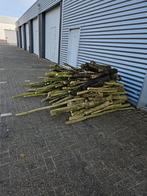 brandhout, Tuin en Terras, Haardhout, 3 tot 6 m³, Ophalen, Overige houtsoorten, Stammen