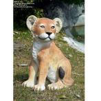 Lion Cub Sitting – Welp Leeuw beeld Hoogte 55 cm