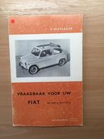 Vraagbaak  Fiat 600  en  Multipla      1962  -  1965      NL, Ophalen of Verzenden