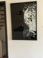 Mooie Panter foto in zwarte strakke lijst, Antiek en Kunst, Ophalen of Verzenden