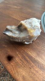 Woodstone uit Arizona usa, Ophalen of Verzenden, Mineraal