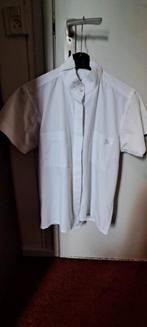 Wedstrijdblouse maat 36, Dieren en Toebehoren, Ophalen of Verzenden, Zo goed als nieuw, Dressuur, Schoeisel