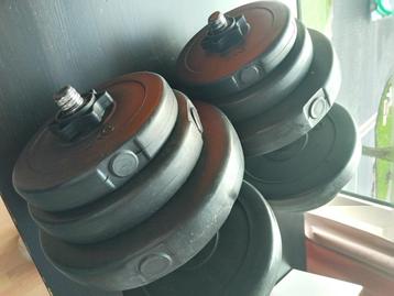 Halterset (dumbells) beschikbaar voor biedingen