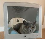 Vintage Apple Studio Display (idee Kattenmand), Ophalen