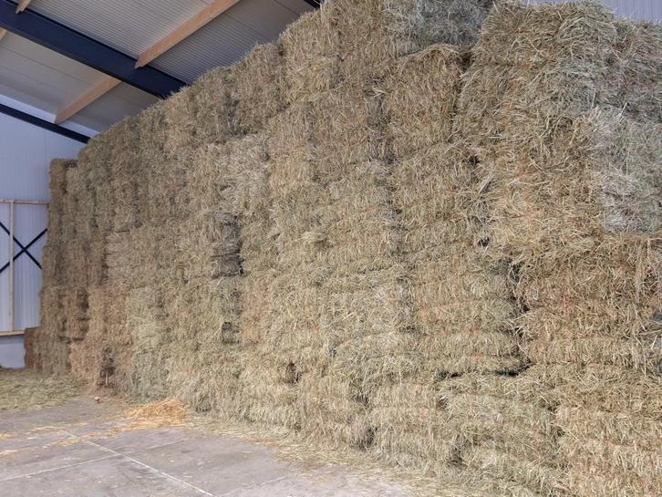 te koop super mooi hooi, Zakelijke goederen, Agrarisch | Veevoer, Ophalen