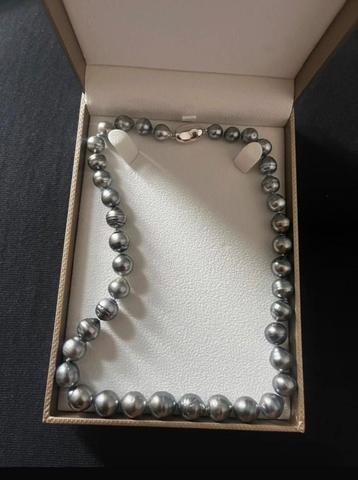 Tahiti Parelketting - Grijs, 8.2-11mm beschikbaar voor biedingen